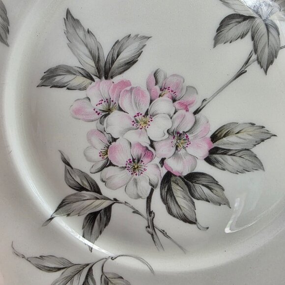TWO Manor House Spring Glory Dinner Plates Pink & White Floral Gray Leaves - Picture 7 of 16